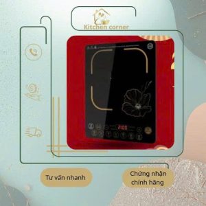 Bếp từ cảm ứng